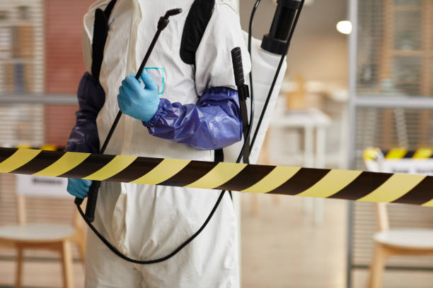 Professional Biohazard Cleanup technician working in Riviera, TX